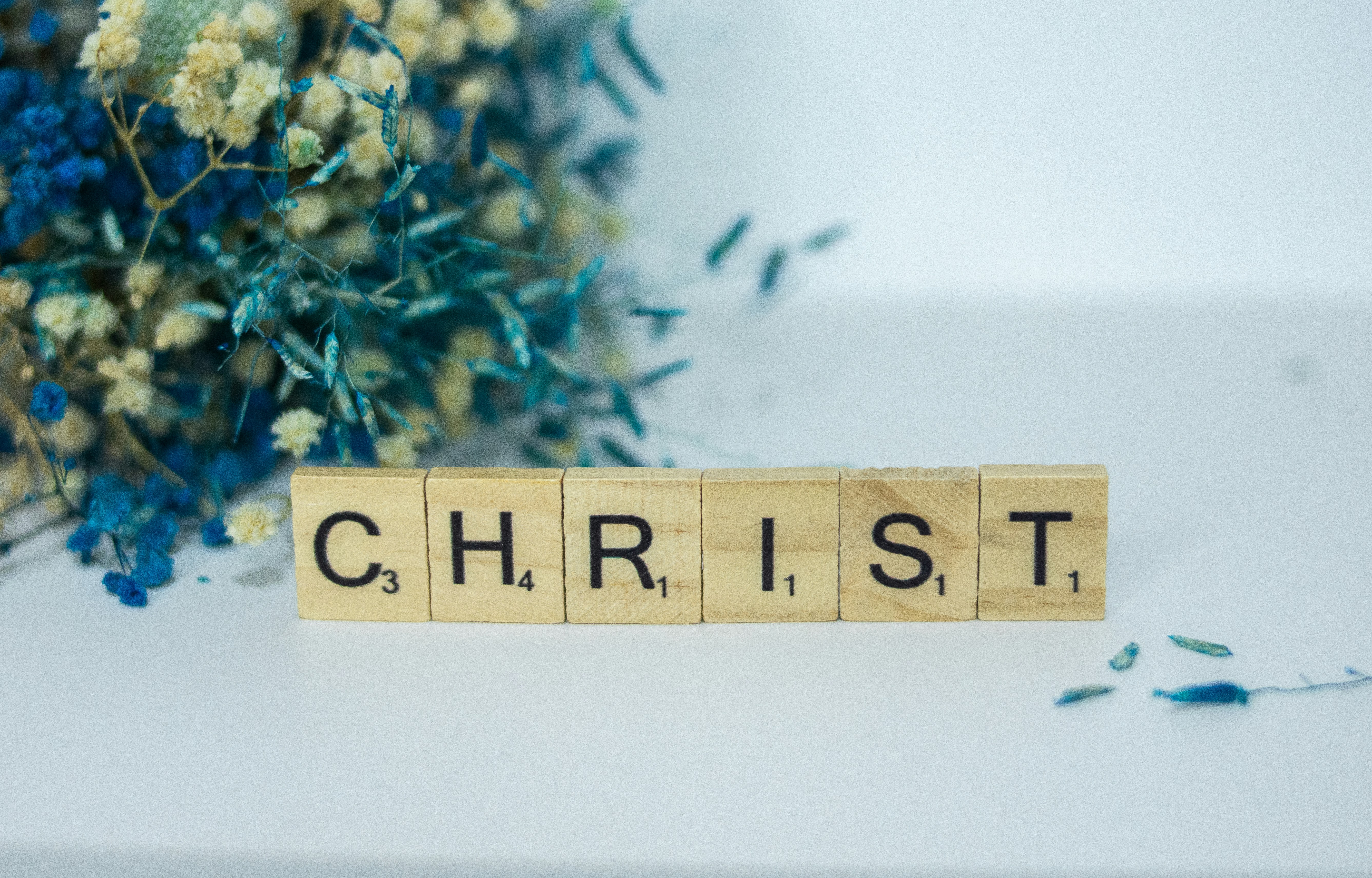 Blog Image